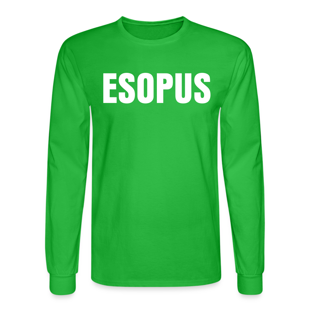 Classic Esopus Long Sleeve W - bright green