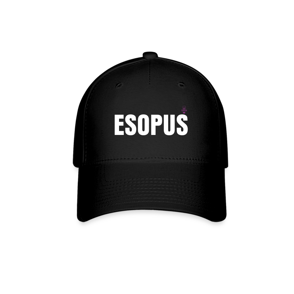 Esopus Baseball Cap - black