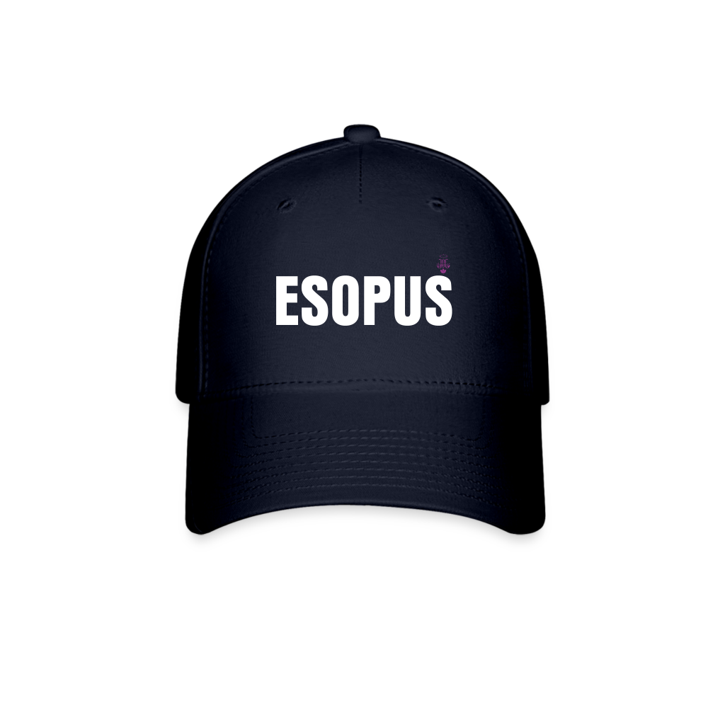 Esopus Baseball Cap - navy