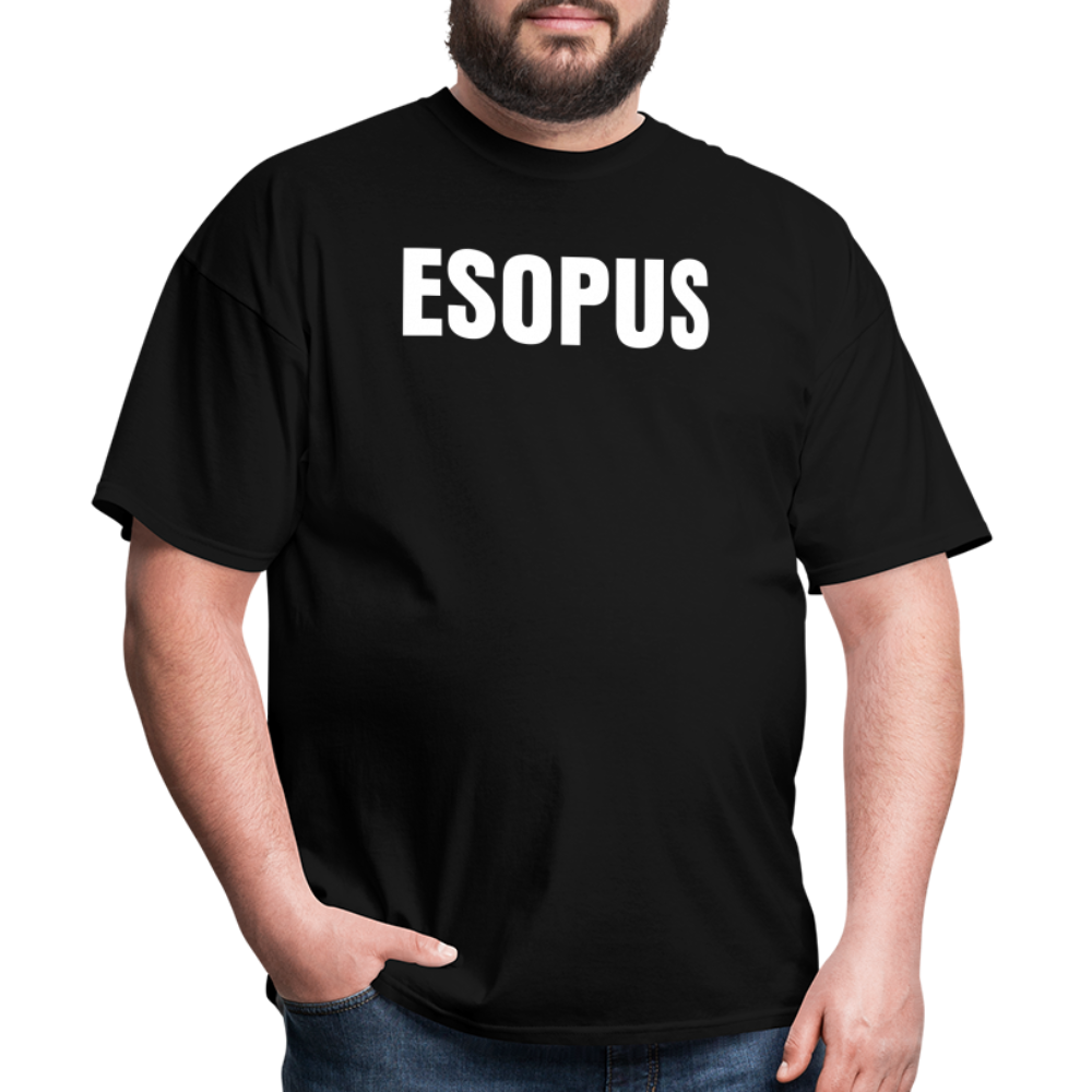 Esopus Classic T-Shirt - black