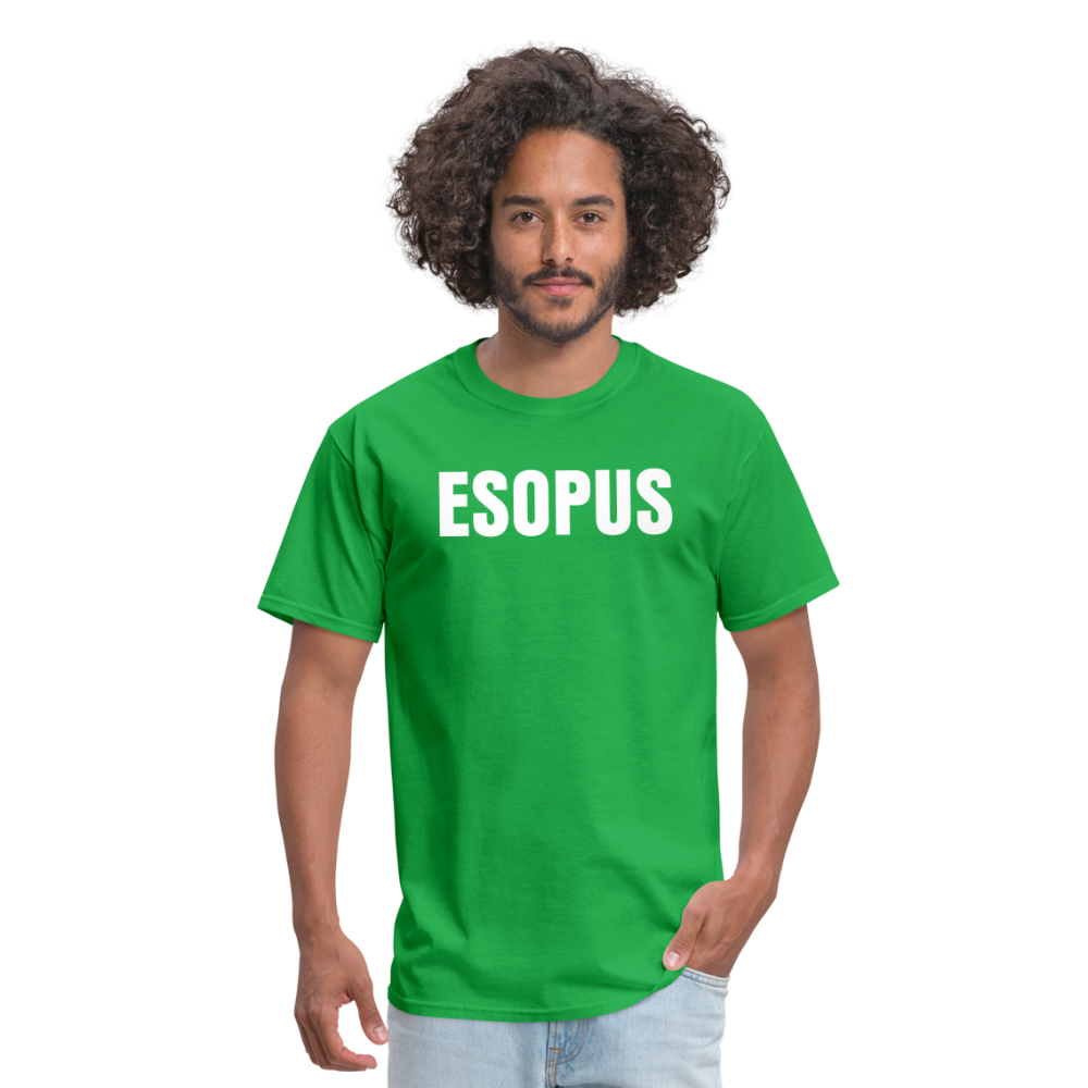 Esopus Classic T-Shirt - bright green