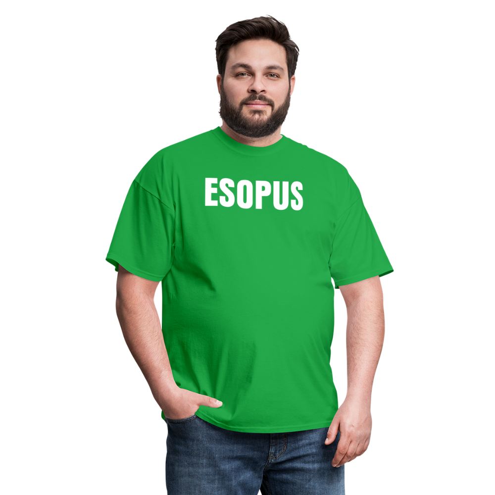 Esopus Classic T-Shirt - bright green