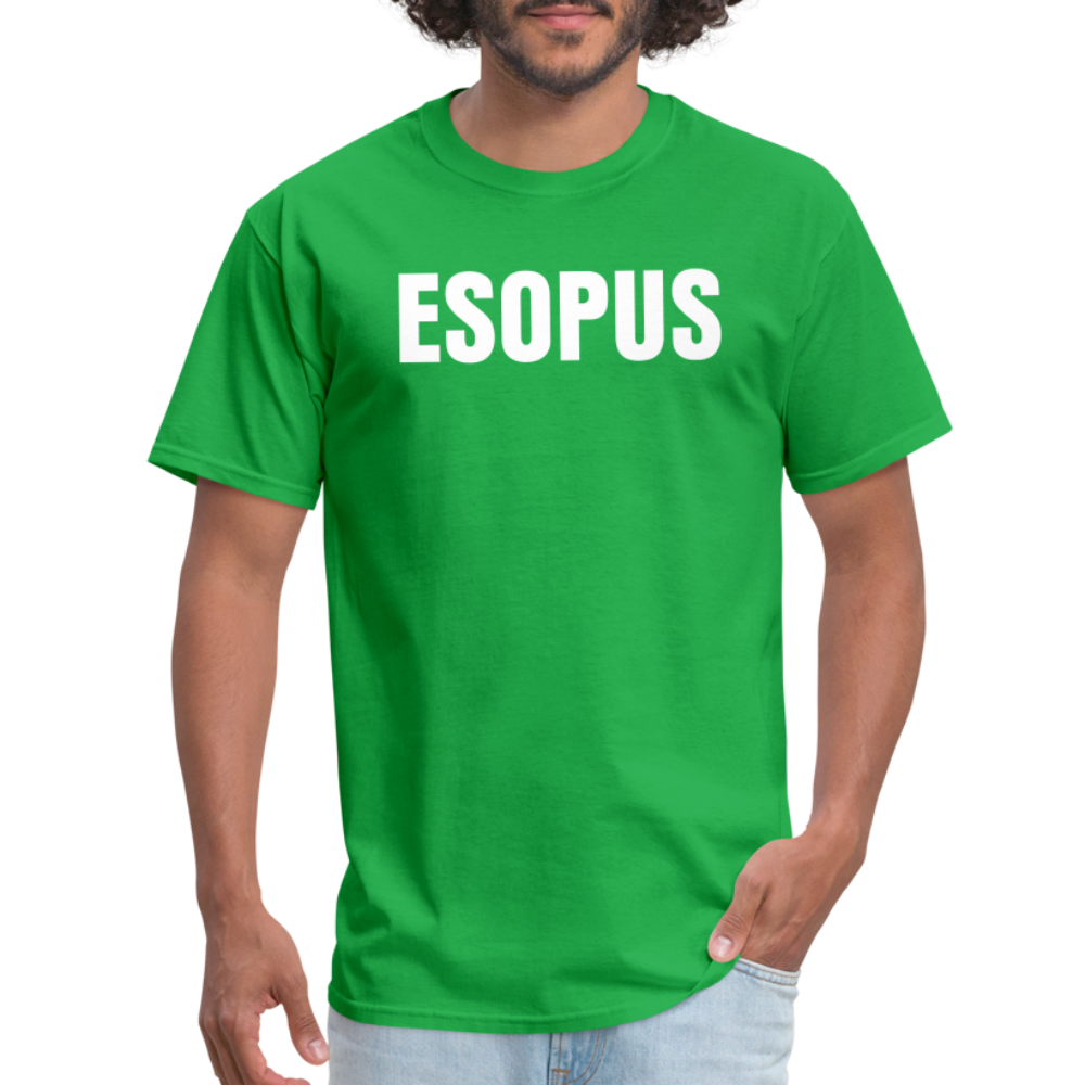 Esopus Classic T-Shirt - bright green