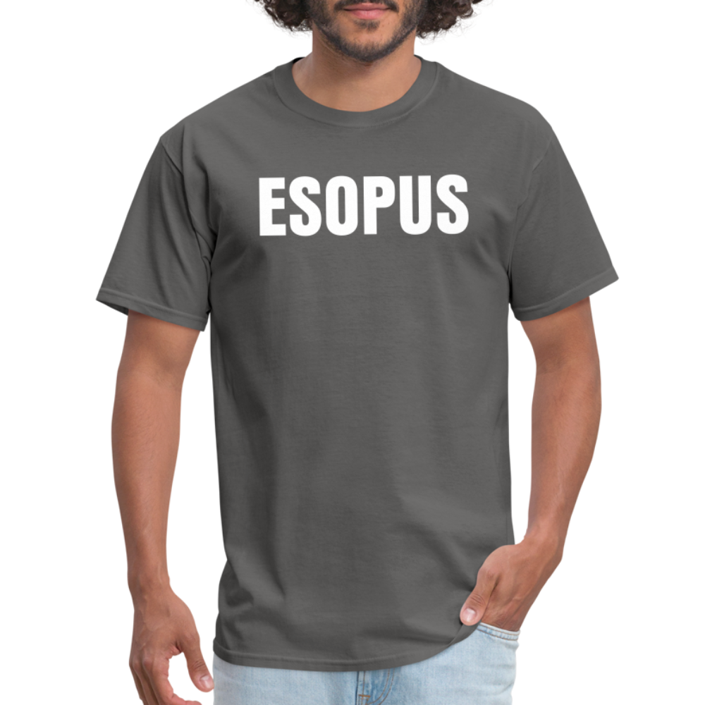 Esopus Classic T-Shirt - charcoal