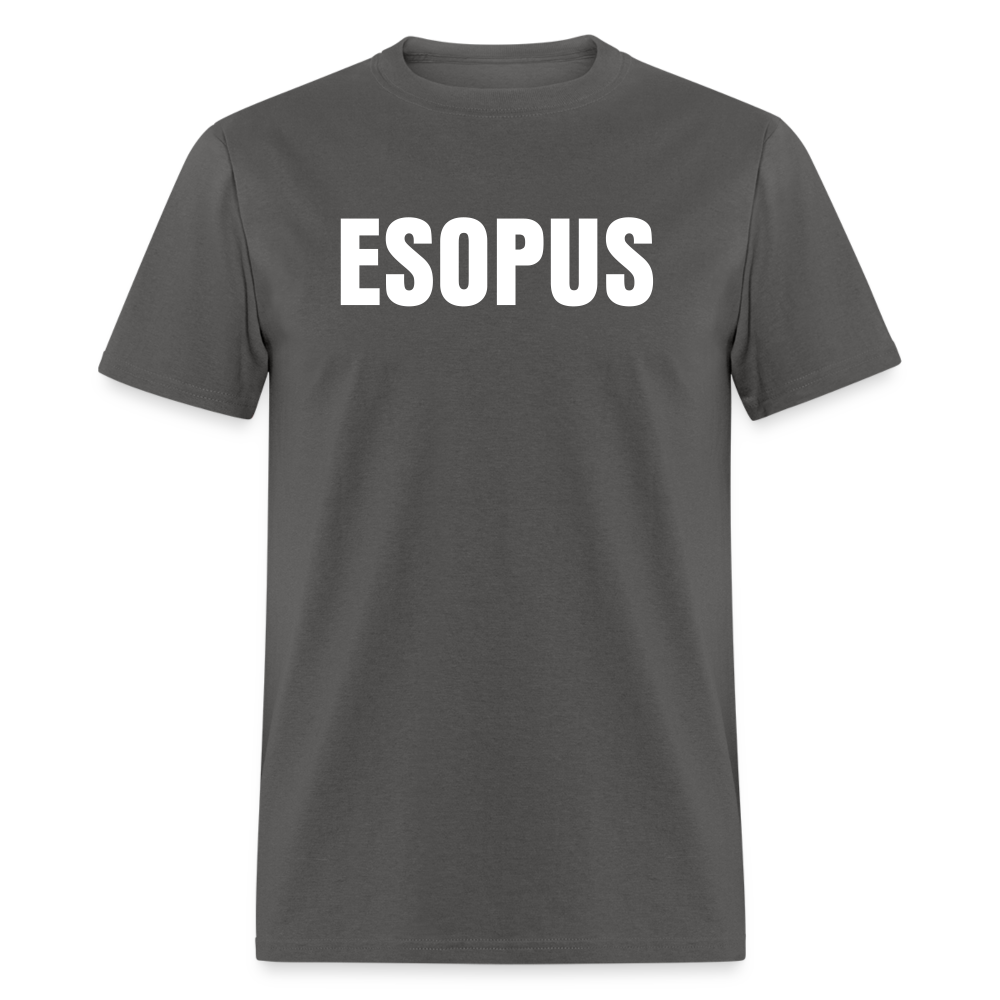Esopus Classic T-Shirt - charcoal