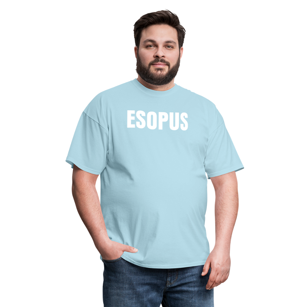 Esopus Classic T-Shirt - powder blue