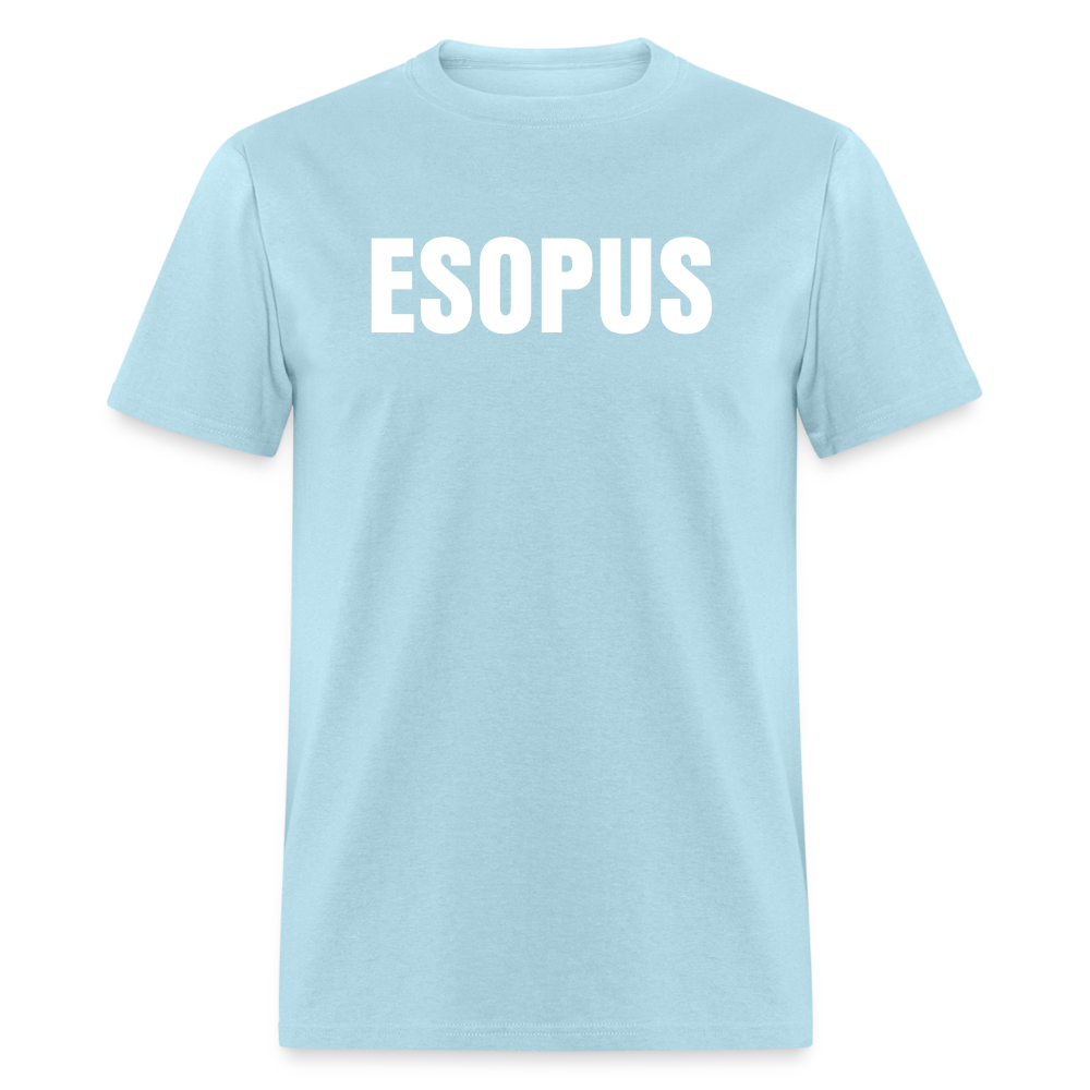 Esopus Classic T-Shirt - powder blue